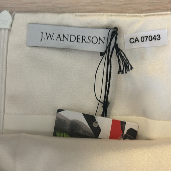 BNWT Stunning Silk J.W. Anderson Mini Skirt - Picture 10 of 11
